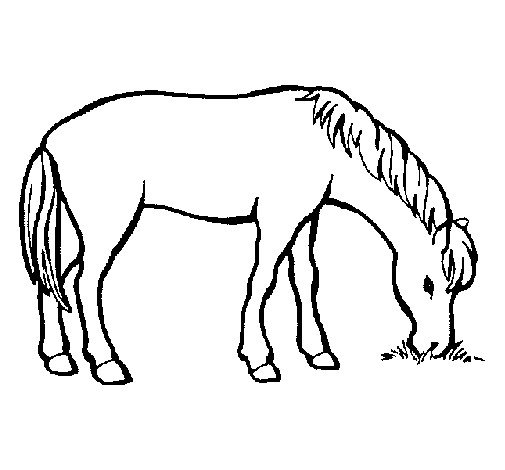 Disegno di Cavallo che mangia  da Colorare