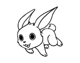 Dibujo de Coniglio di campo