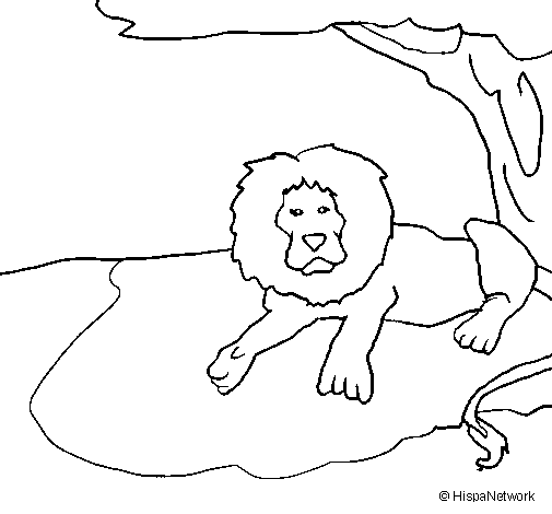 Disegno di Il re leone da Colorare