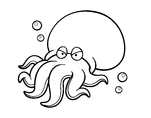 Disegno di Octopoda da Colorare