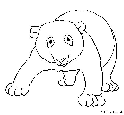 Disegno di Orso panda  da Colorare