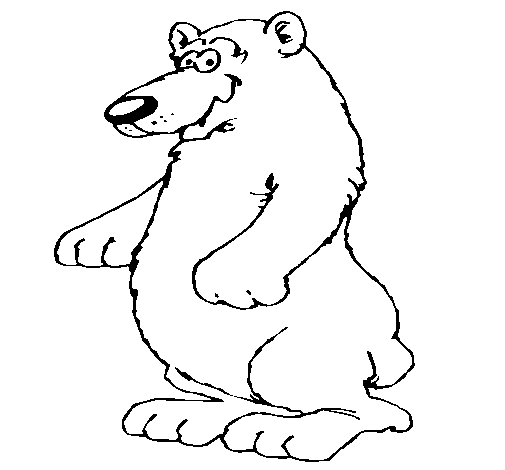 Disegno di Orso da Colorare