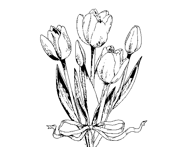 Disegno di Tulipani con un fiocco da Colorare