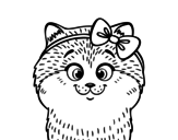 Dibujo de Una gattina infiocchettata