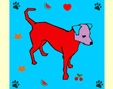 201228/cane-6-animali-cani-dipinto-da-diana-1060043_163.jpg