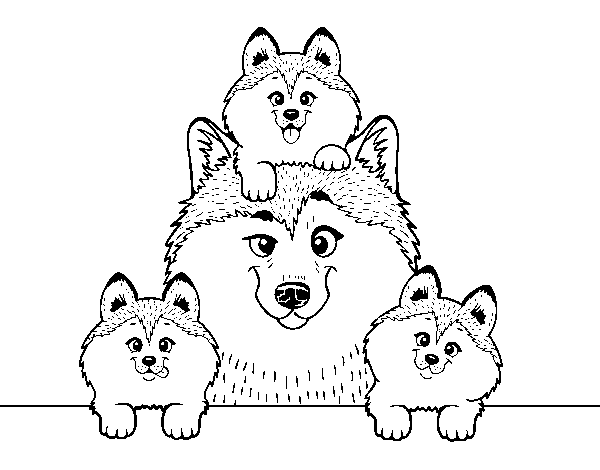 Disegno di Famiglia Husky da Colorare