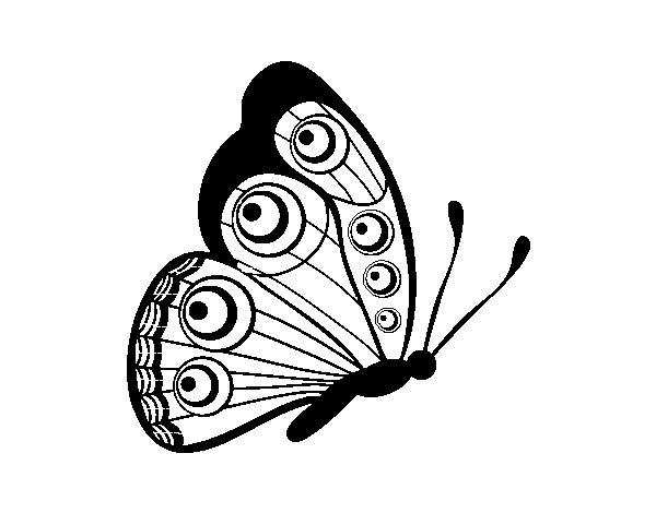Disegno di Farfalla destra da Colorare