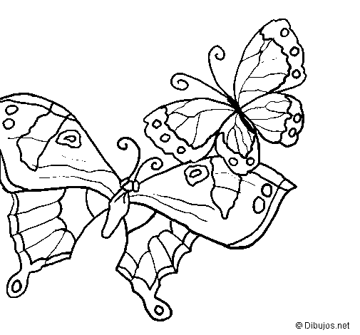 Disegno di Farfalle da Colorare