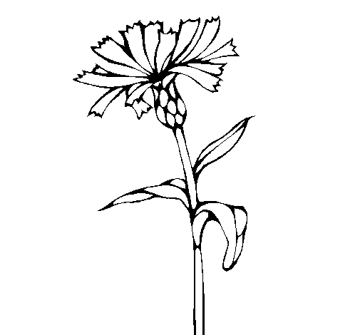Disegno di Fiore  6 da Colorare