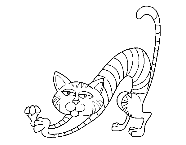 Disegno di Gatto da stretching da Colorare