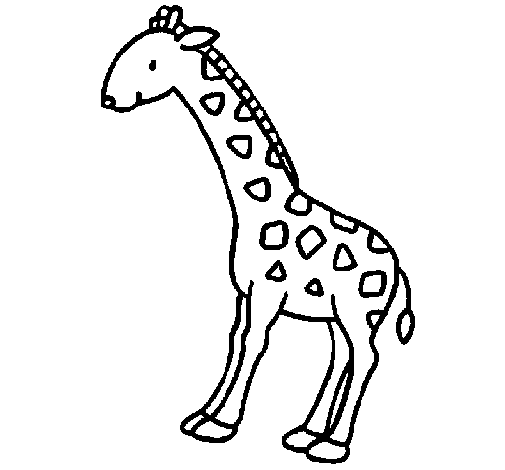Disegno di Giraffa  2 da Colorare