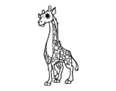 Disegno di Giraffa femminile da colorare