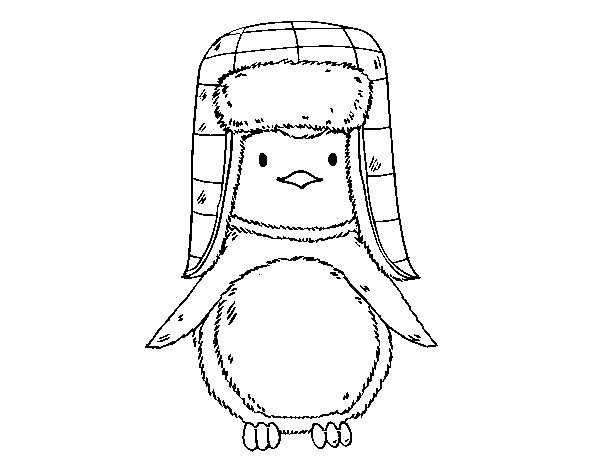 Disegno di Pinguino con il cappello da Colorare