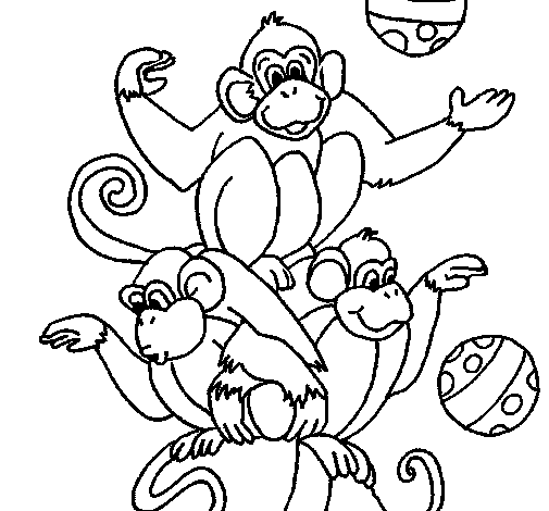 Disegno di Scimmie giocoliere da Colorare