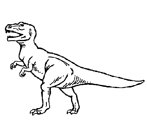 Disegno Di Tyrannosaurus Rex Da Colorare Acolore Com